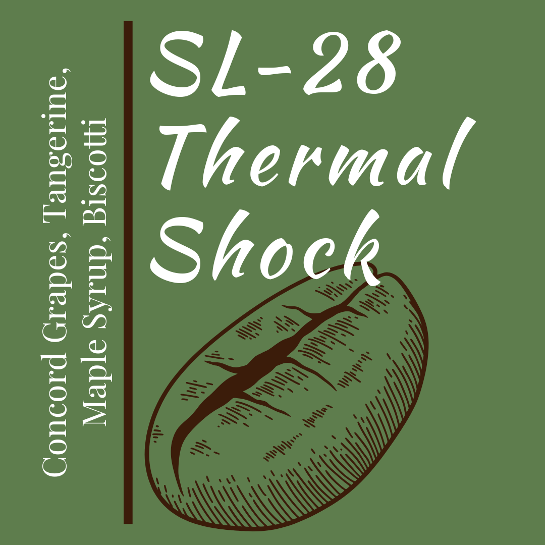 SL-28 Thermal Shock