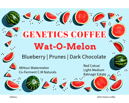 Wat-o-Melon CM Honey