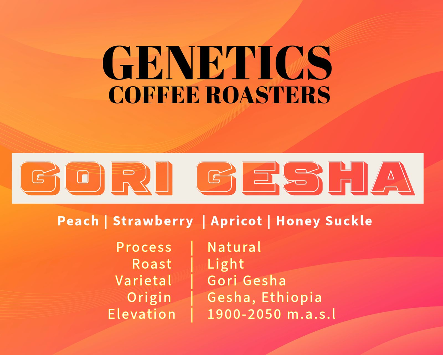 GORI GESHA - Ethiopia