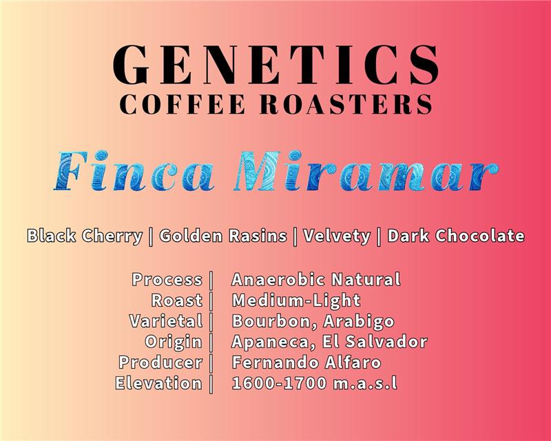 Finca Miramar - El Salvador