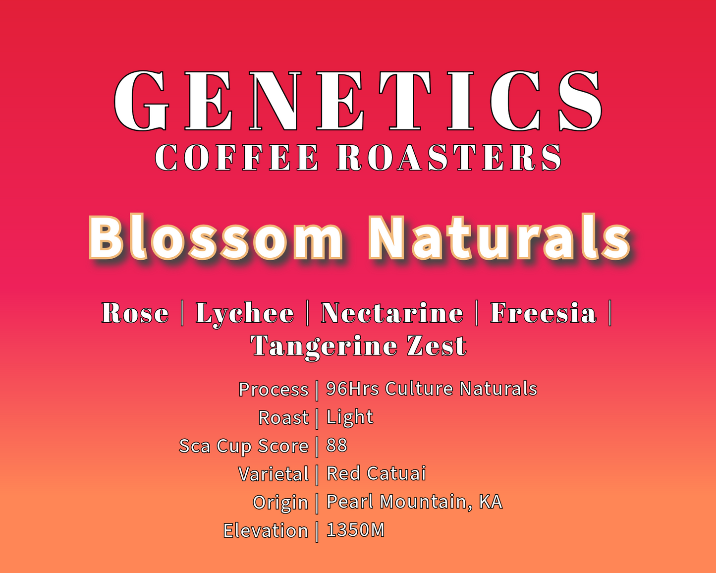 Blossom Naturals - 96hrs Culture Process