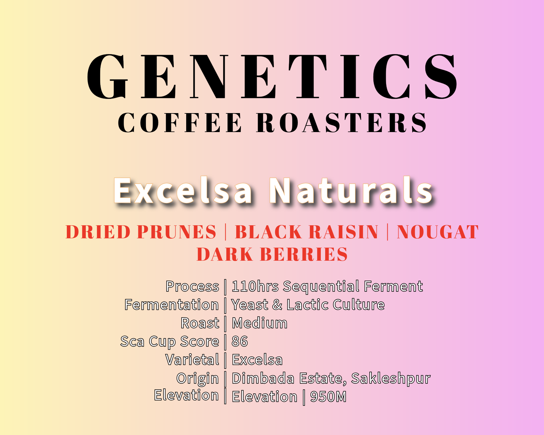 excelsa naturals - 110hrs sequential fermented - india coffee by genetics coffee