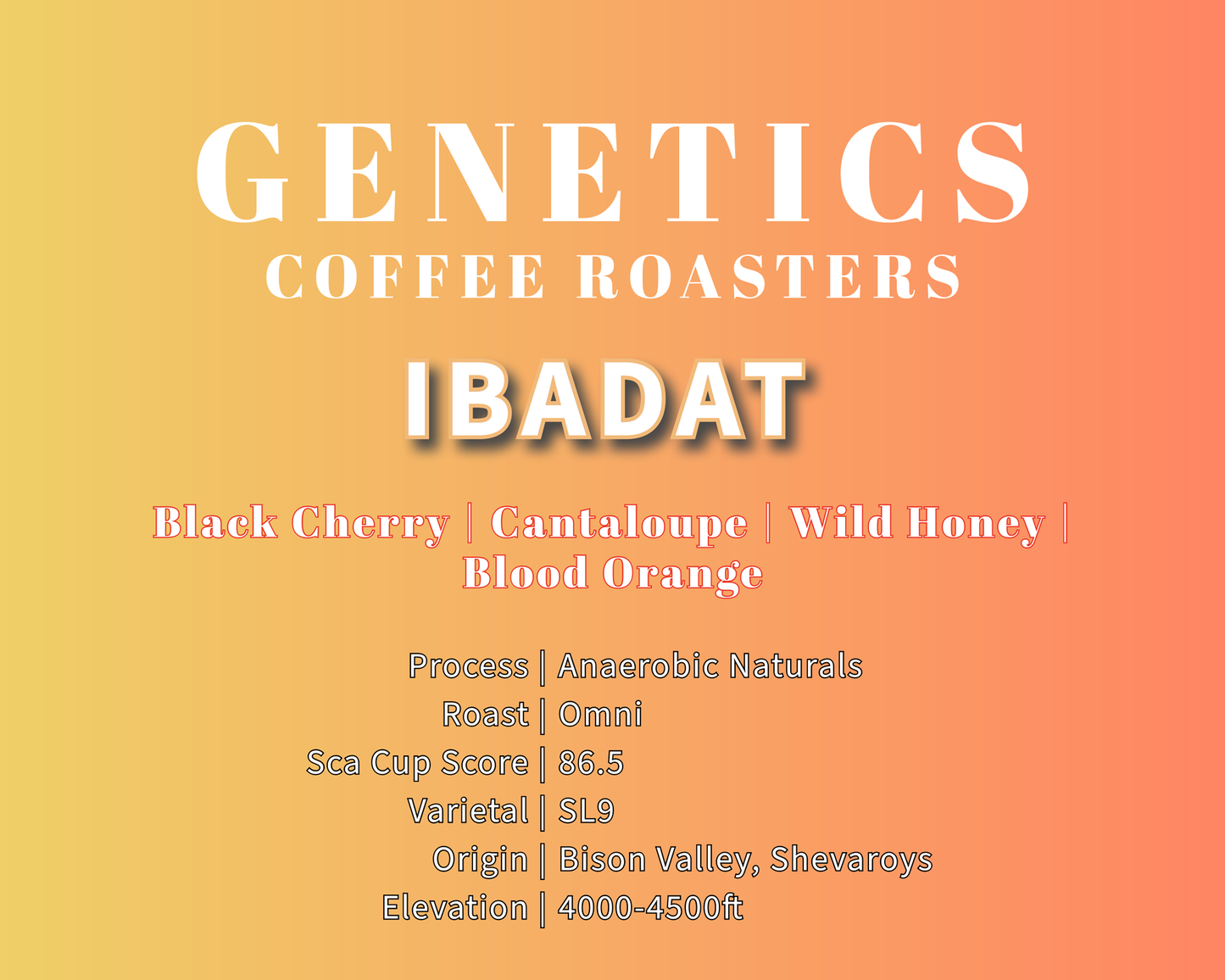 Ibadat