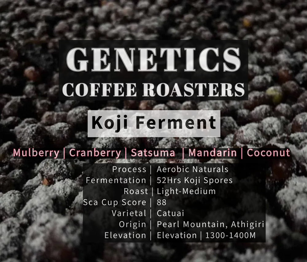 Koji Ferment