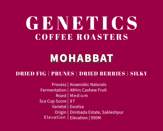 Mohabbat - Cashew Fruit Fermented Excelsa