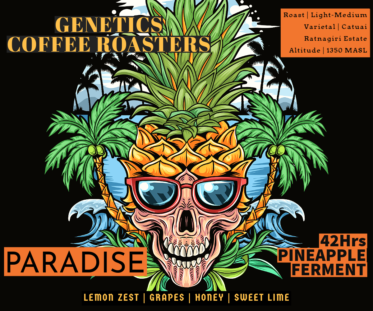 Paradise - 48Hrs Pineapple Fermented Naturals