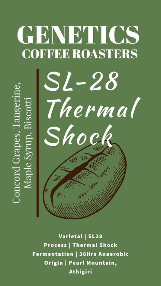 SL-28 Thermal Shock