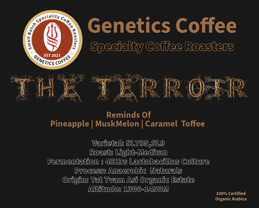 The Terroir