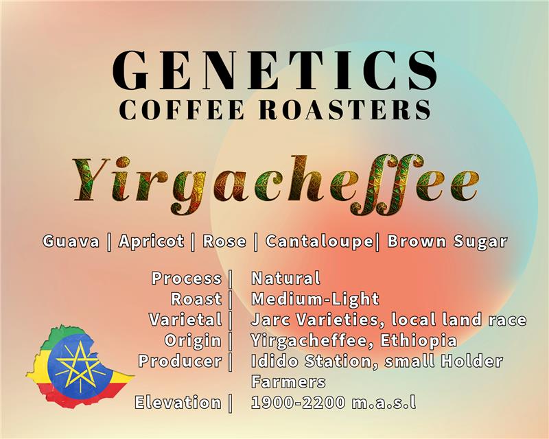 Yirgacheffe - Ethiopia