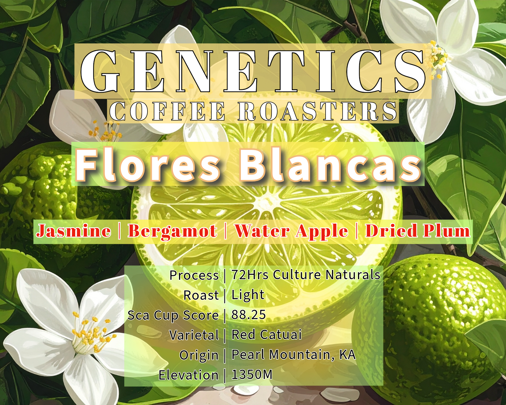 flores blancas - india coffee by genetics coffee