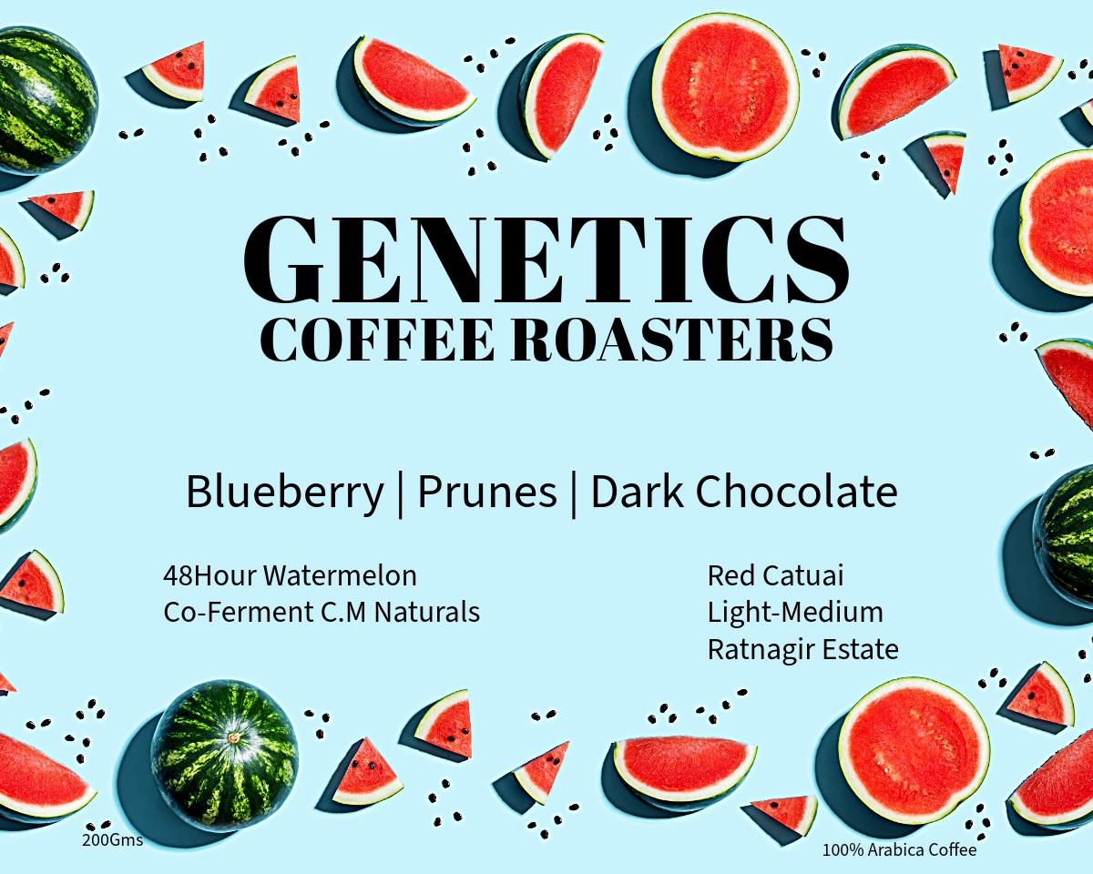 Wat-o-Melon CM Honey